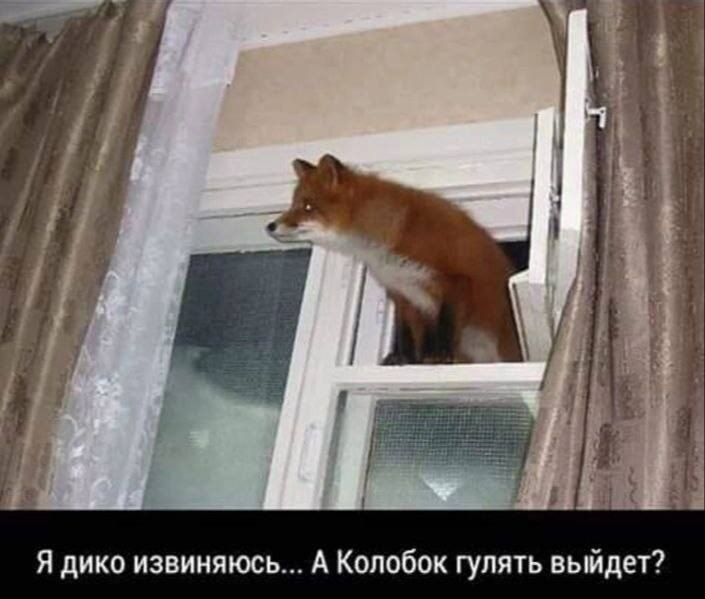 Я дико извиняюсь... А Колобок гулять выйдет?