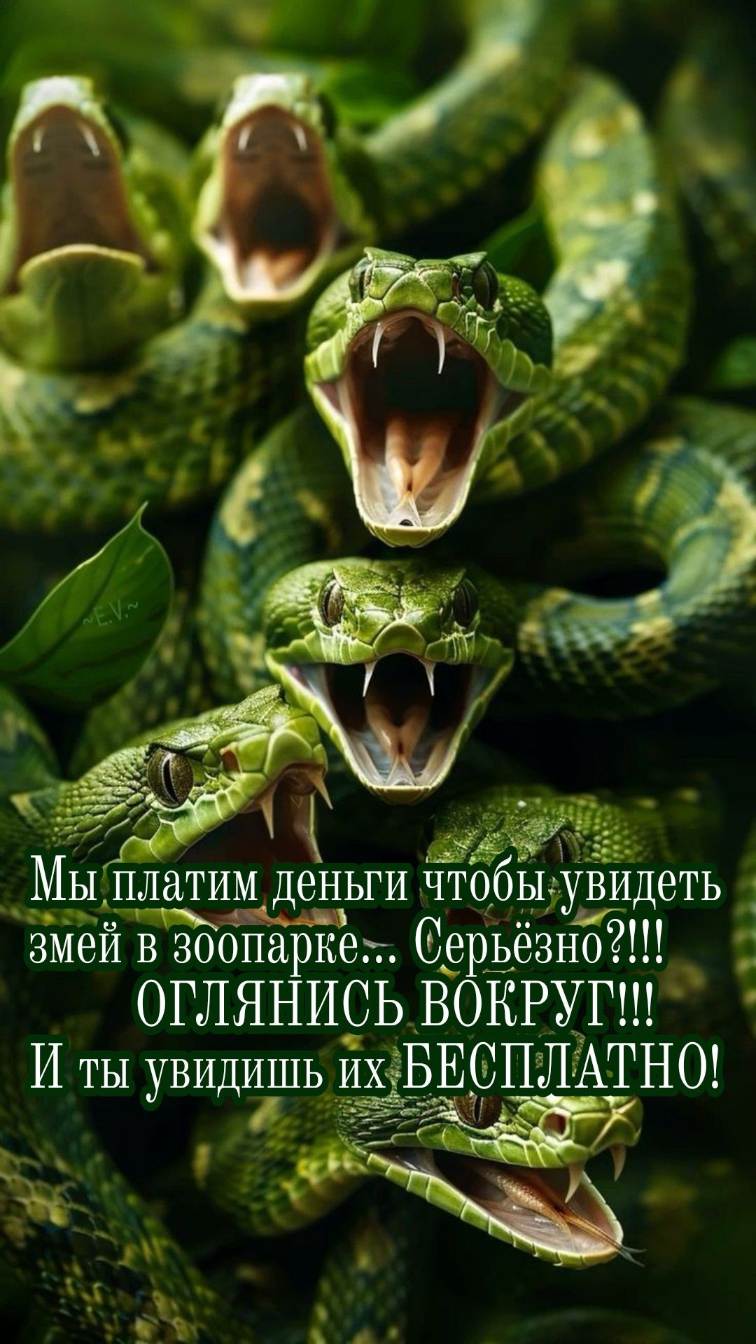 Мы платим деньги чтобы увидеть змей в зоопарке... Серьёзно?!!! ОГЛЯНИСЬ ВОКРУГ!!! И ты увидишь их БЕСПЛАТНО!