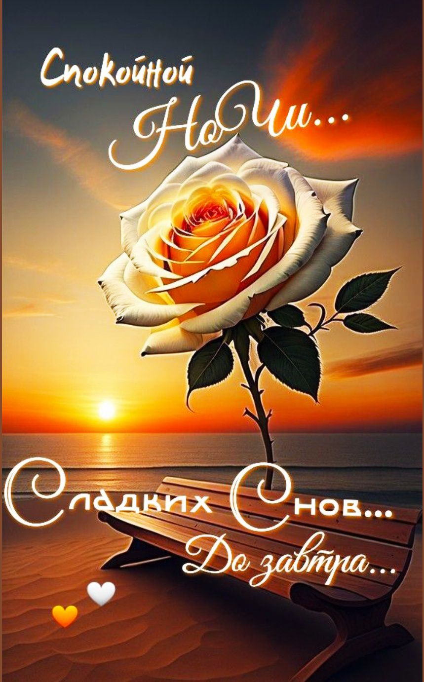 Спокойной Ночи... Сладких Снов... До завтра...