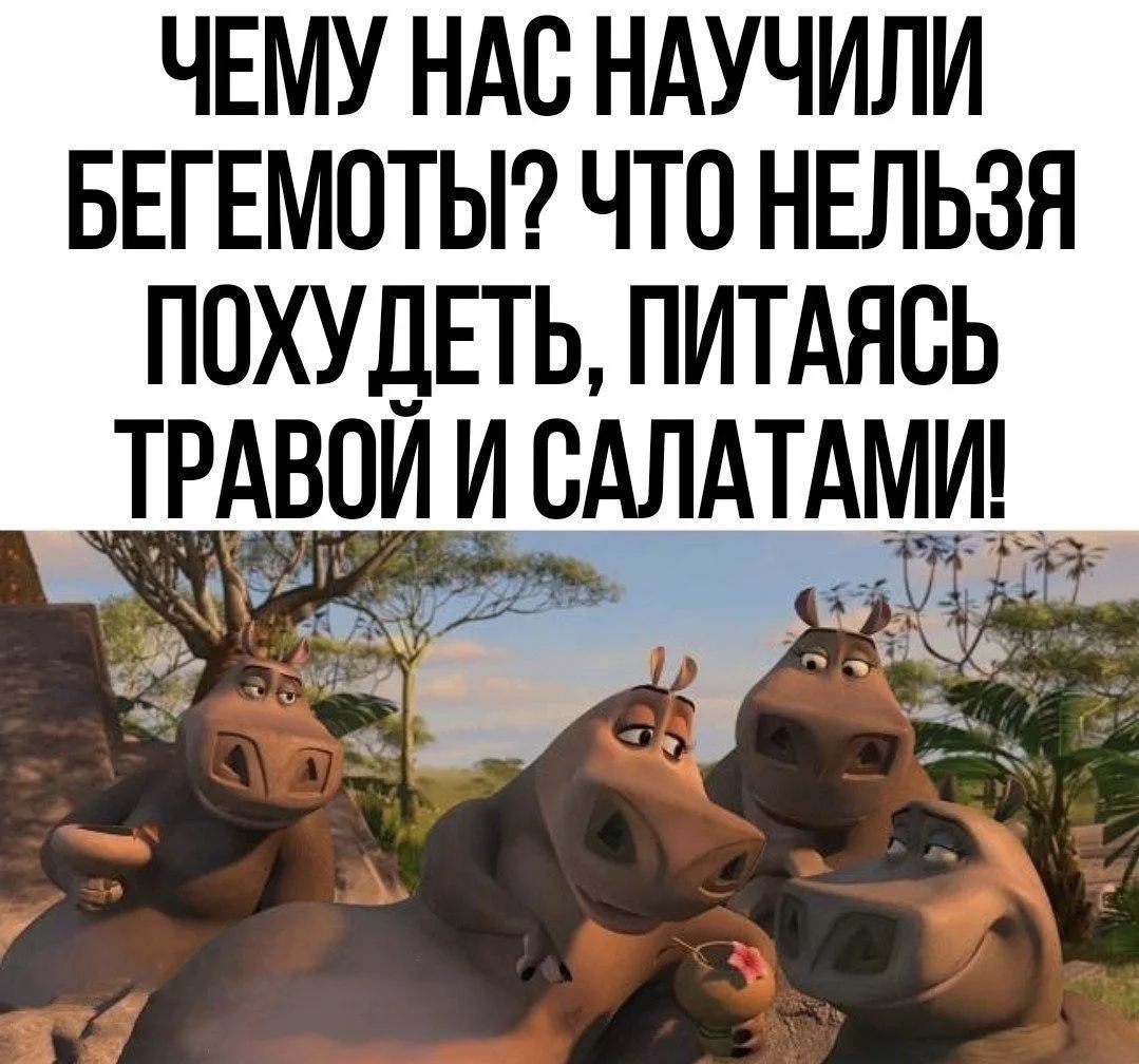 ЧЕМУ НАС НАУЧИЛИ БЕГЕМОТЫ? ЧТО НЕЛЬЗЯ ПОХУДЕТЬ, ПИТАЯСЬ ТРАВОЙ И САЛАТАМИ!