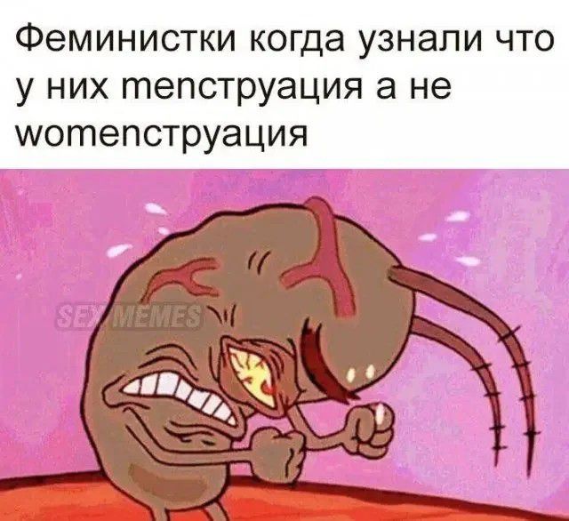 Феминистки когда узнали что у них менструация а не womenструация