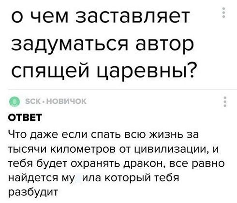 О чем заставляет задуматься автор спящей царевны? ОТВЕТ Что даже если спать всю жизнь за тысячи километров от цивилизации, и тебя будет охранять дракон, все равно найдется мудила который тебя разбудит