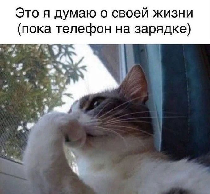 Это я думаю о своей жизни (пока телефон на зарядке)