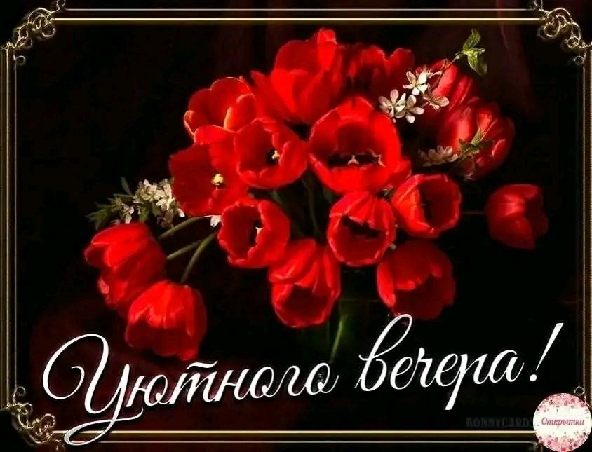 Уютного вечера!