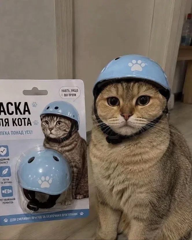 Каска для кота. Навіть, якщо він проти. Безпека понад усе! Надійний захист. Легка та зручна. Регульований ремінець. Для сміливих пригод та безпечних прогулянок.