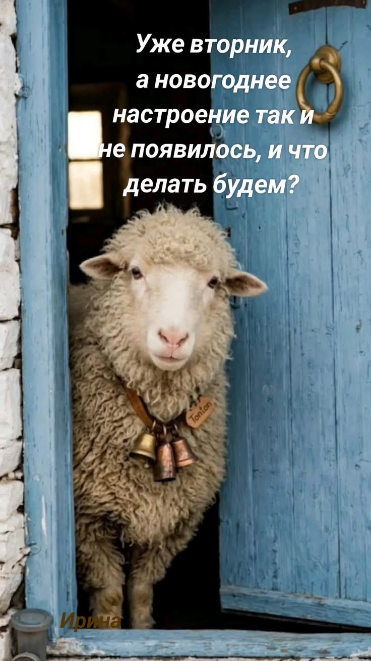 Уже вторник, а новогоднее настроение так и не появилось, и что делать будем?