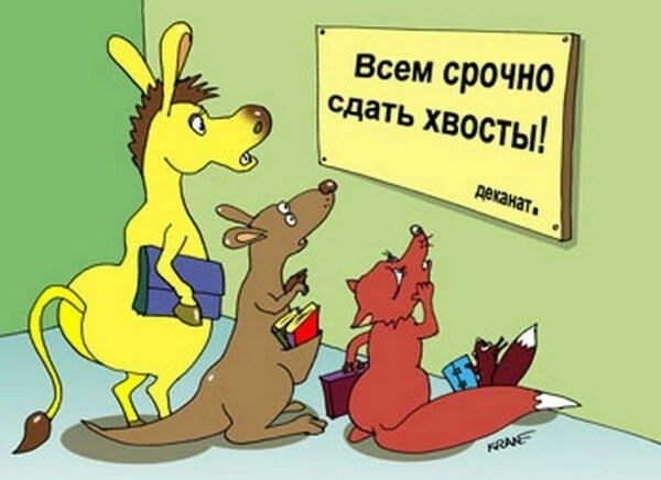 Всем срочно сдать хвосты! деканат