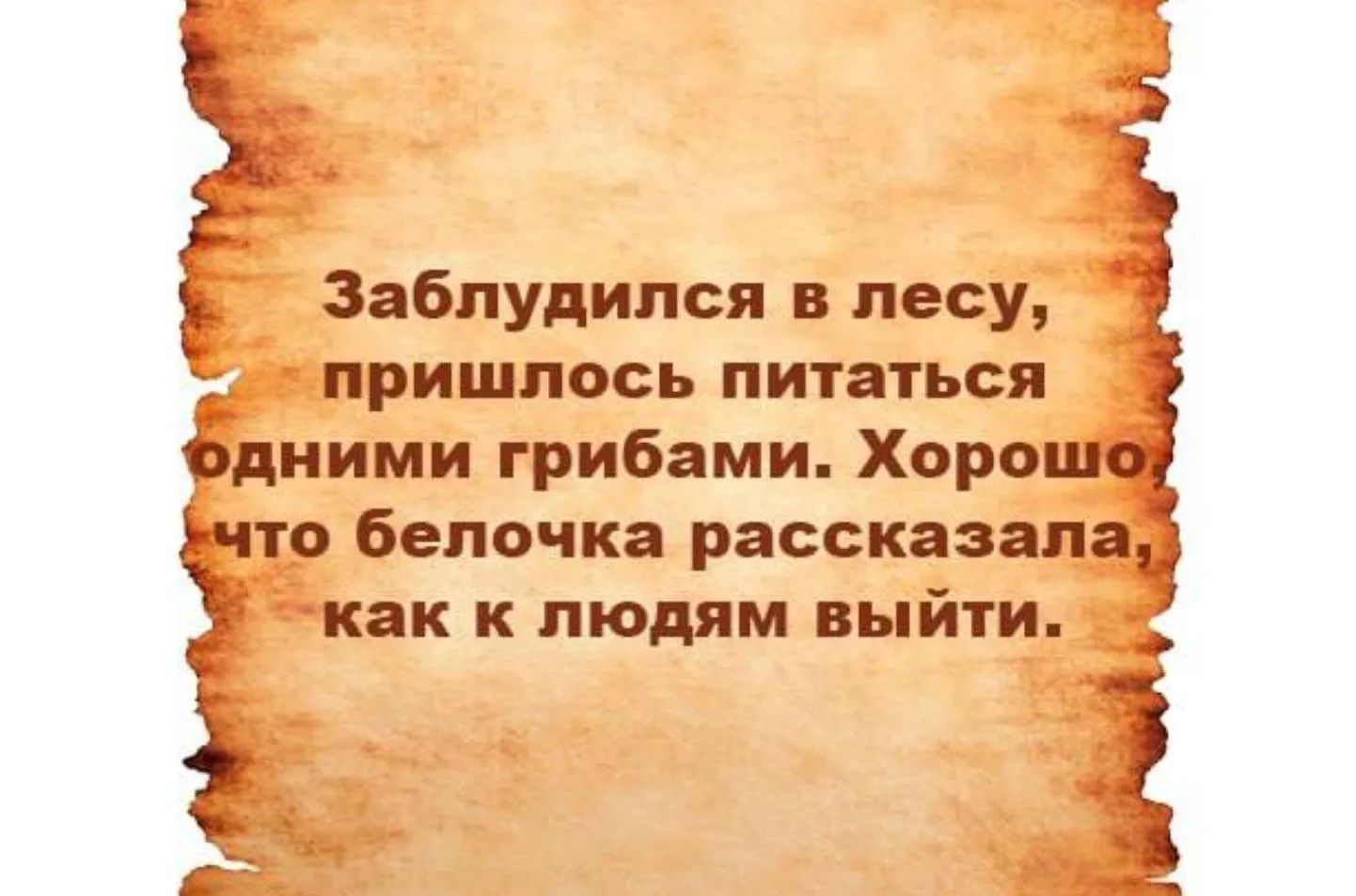 Заблудился в лесу, пришлось питаться одними грибами. Хорошо, что белочка рассказала, как к людям выйти.