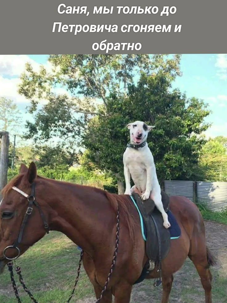 Саня, мы только до Петровича сгоняем и обратно