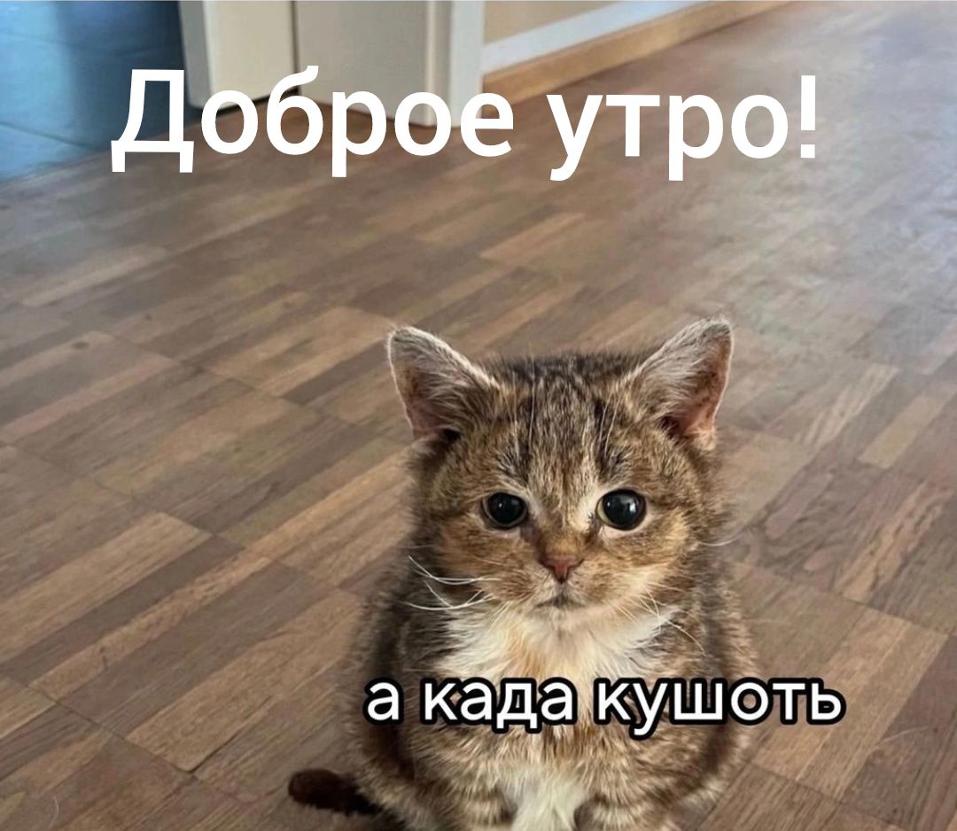 Доброе утро! а када кушоть