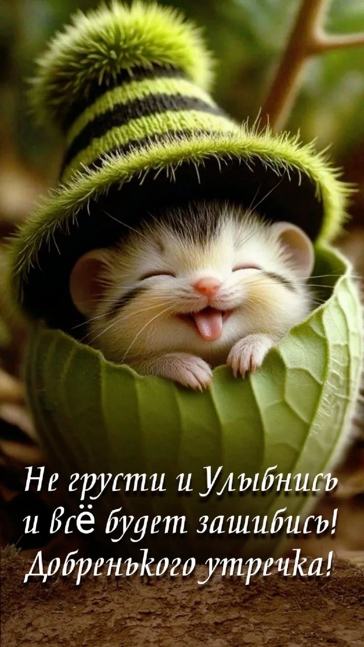 Не грусти и Улыбнись и всё будет зашибись! Добренького утречка!