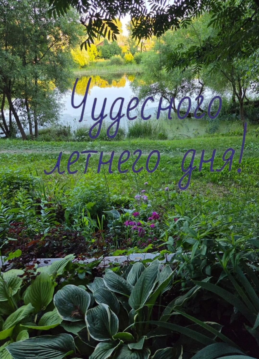 Чудесного летнего дня!