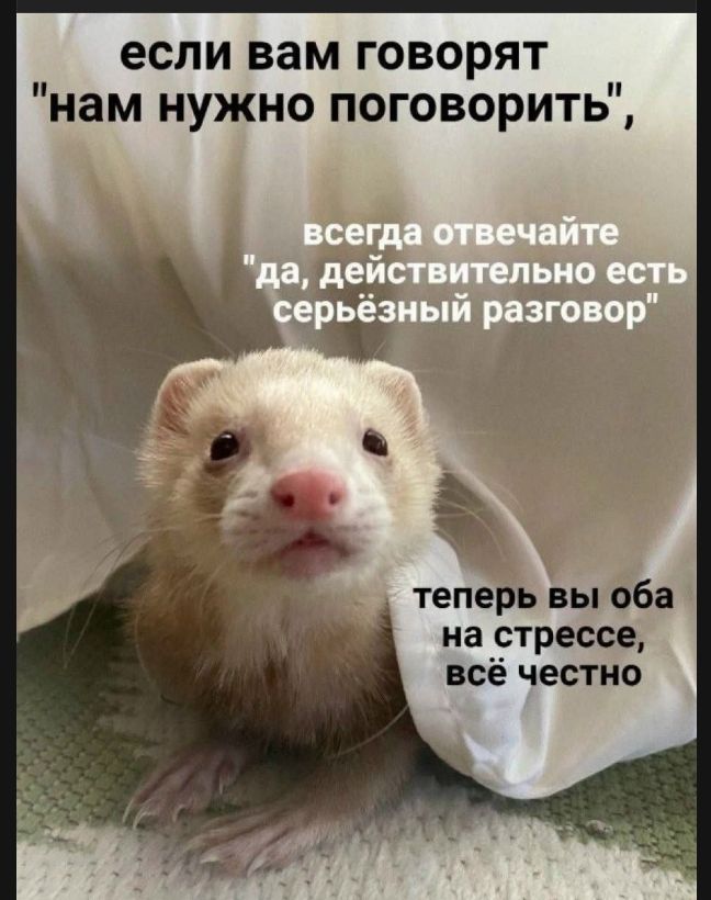 если вам говорят 