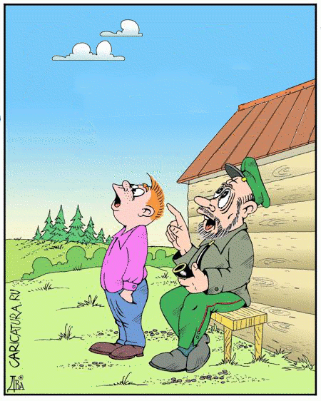 CARICATURA.RU ДВА