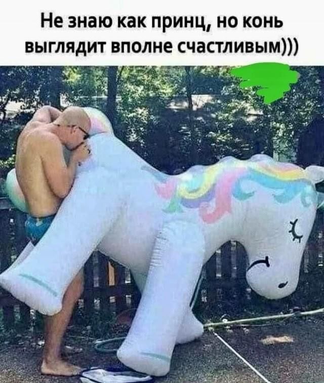Не знаю как принц, но конь выглядит вполне счастливым)))