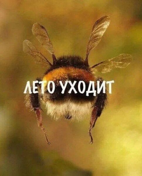 Лето уходит