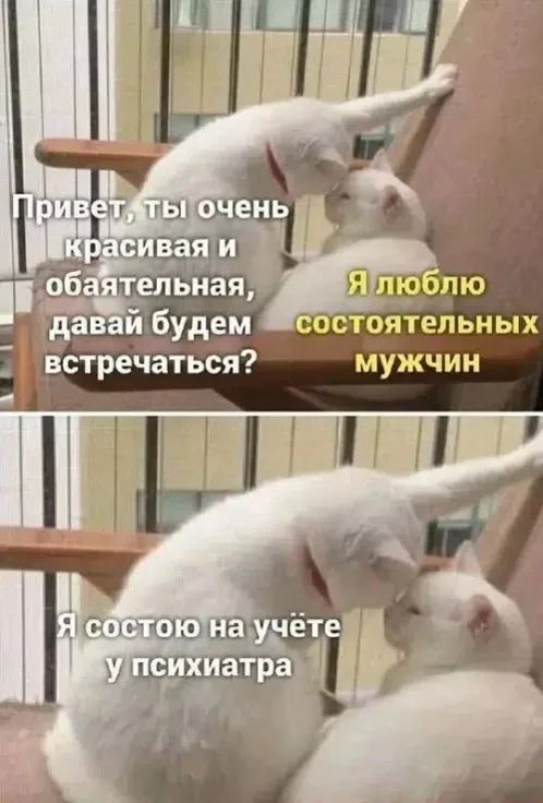 Привет, ты очень красивая и обаятельная, давай будем встречаться? Я люблю состоятельных мужчин. Я состою на учёте у психиатра