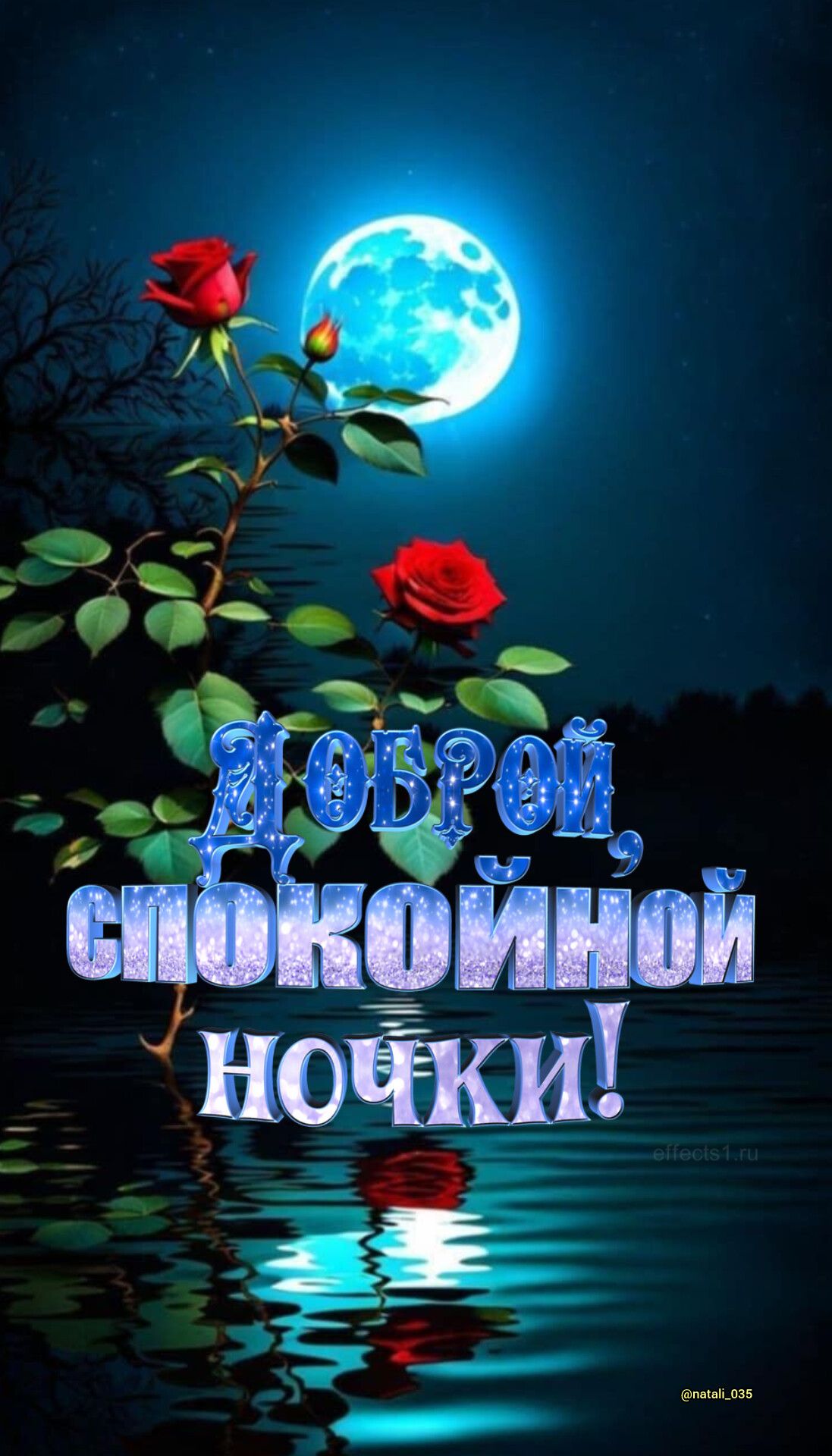 Доброй, спокойной ночки!