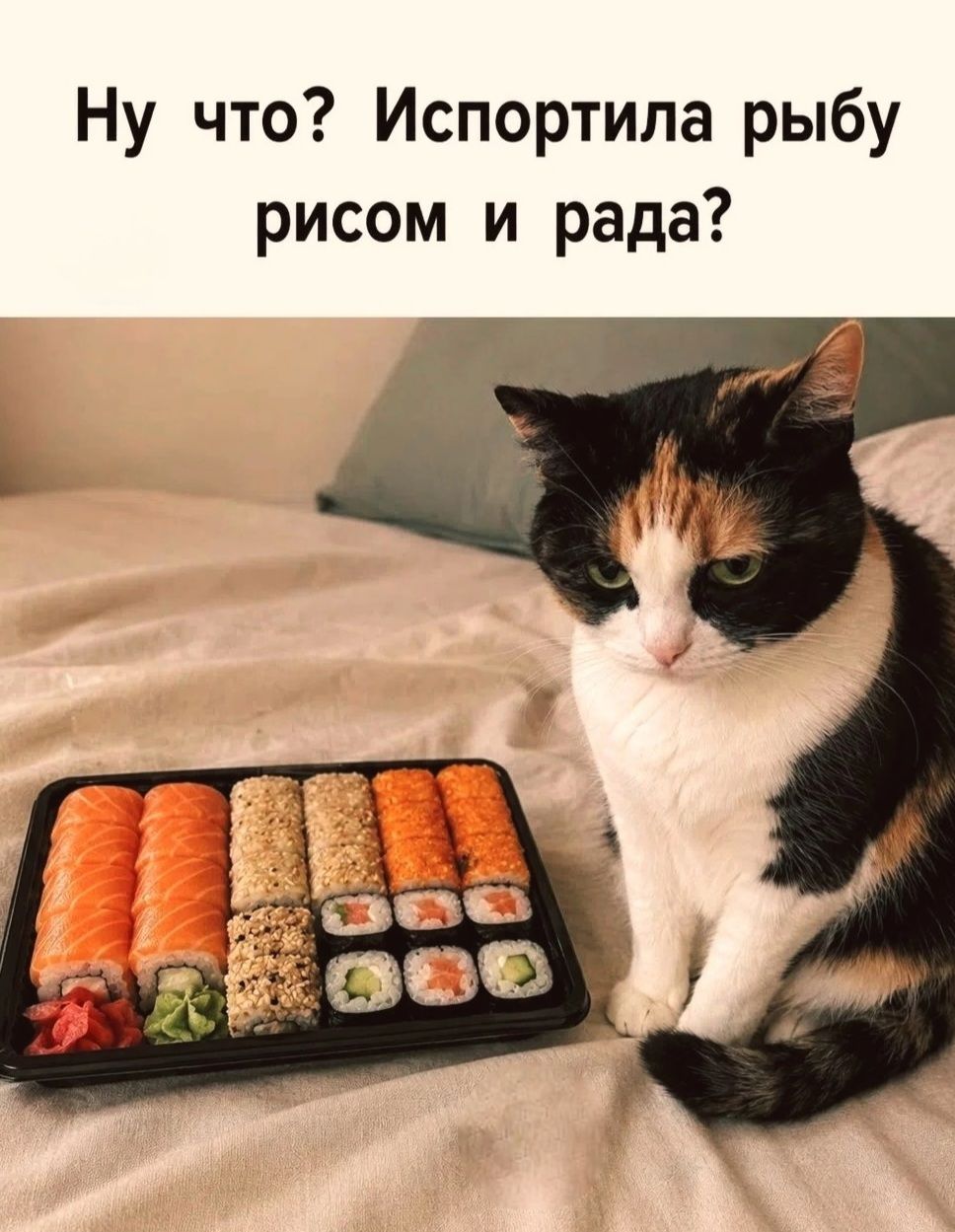 Ну что? Испортила рыбу рисомом и рада?