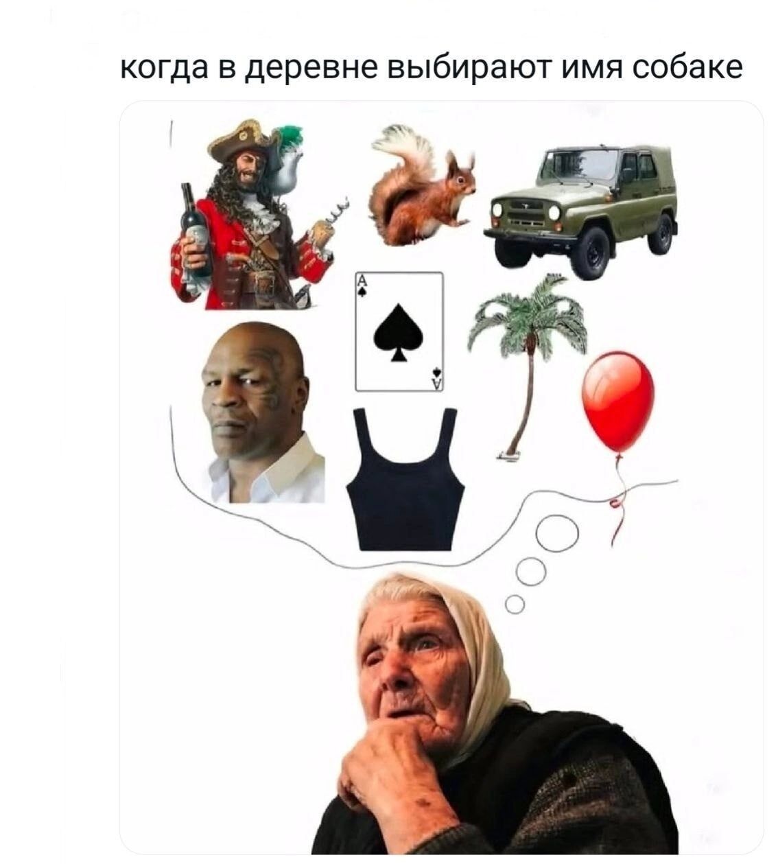 когда в деревне выбирают имя собаке. Пират, белка, уазик, майк тайсон, туз, майка, пальма, шарик.