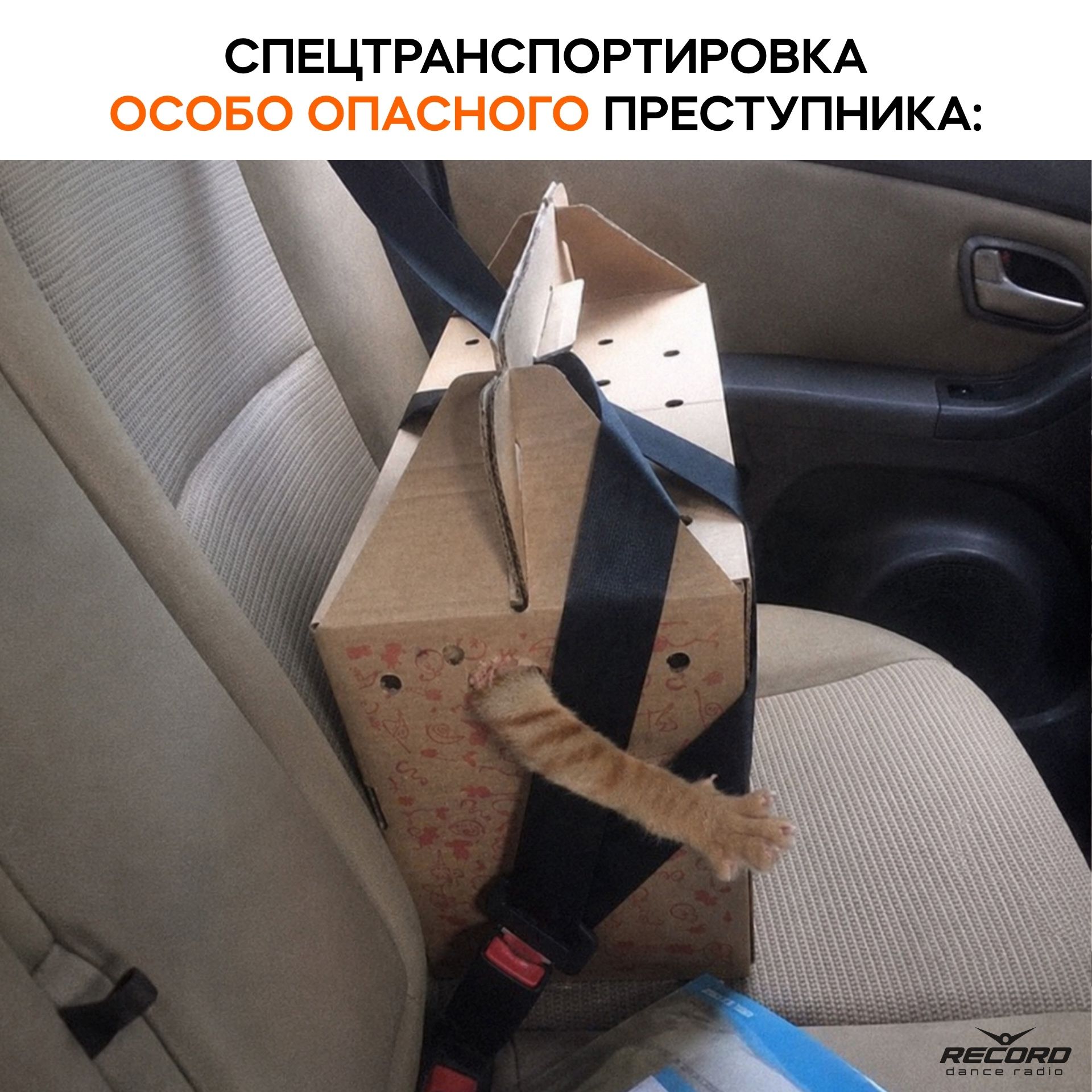 СПЕЦТРАНСПОРТИРОВКА ОСОБО ОПАСНОГО ПРЕСТУПНИКА: