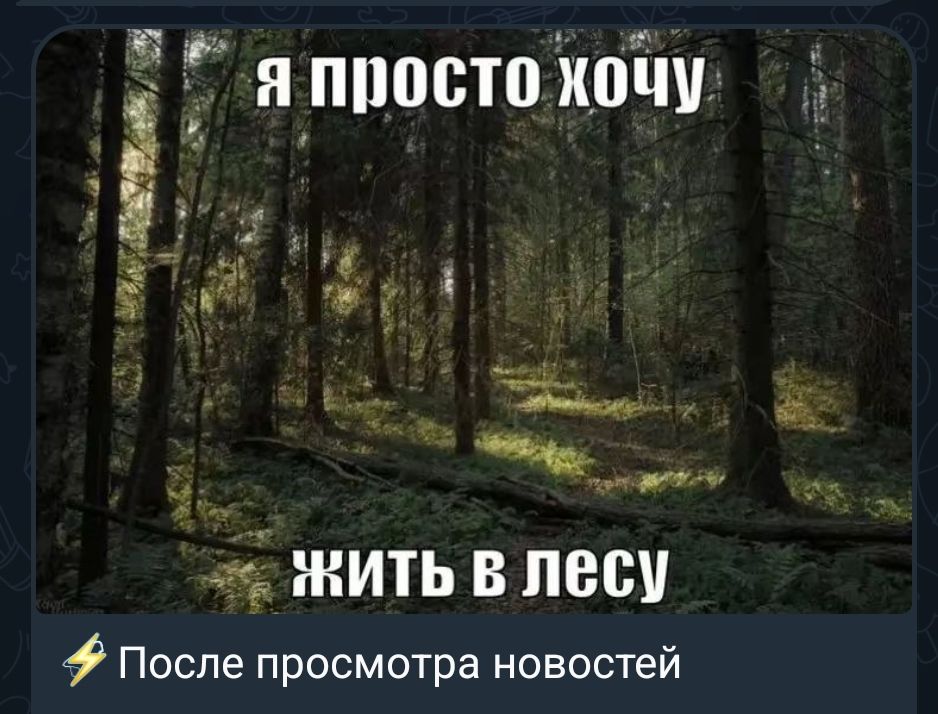 я просто хочу жить в лесу. После просмотра новостей