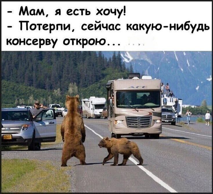 - Мам, я есть хочу! - Потерпи, сейчас какую-нибудь консерву открою...