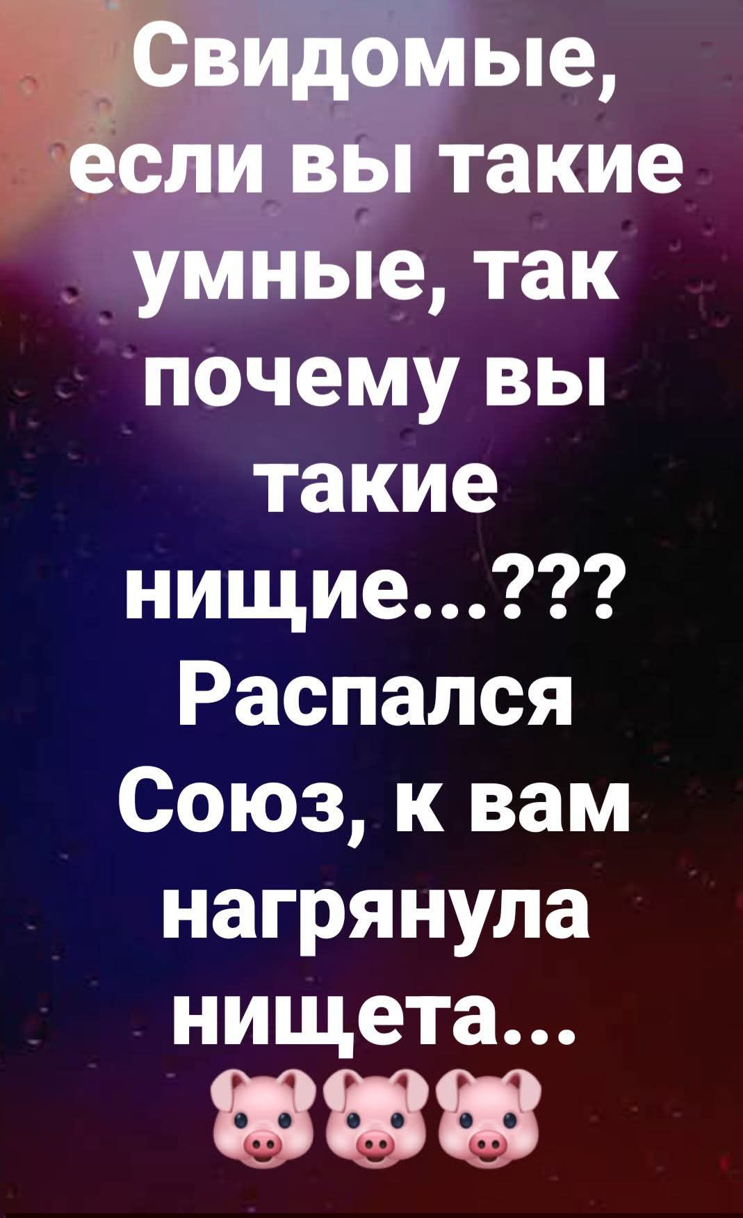Свидомые, если вы такие умные, так почему вы такие нищие...??? Распался Союз, к вам нагрянула нищета... 🐷🐷🐷