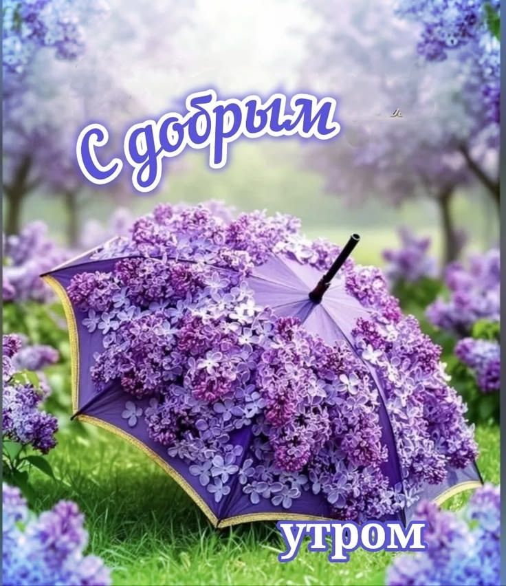 С добрым утром