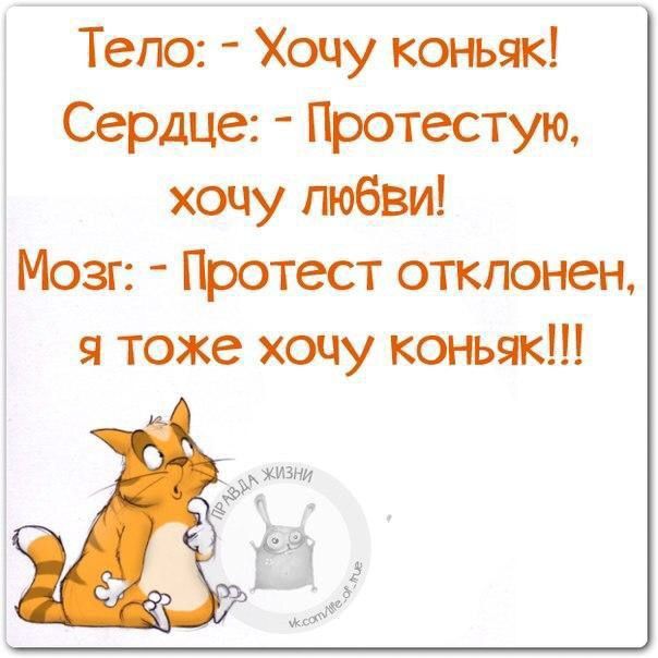 Тело: - Хочу коньяк! Сердце: - Протестую, хочу любви! Мозг: - Протест отклонен, я тоже хочу коньяк!!!