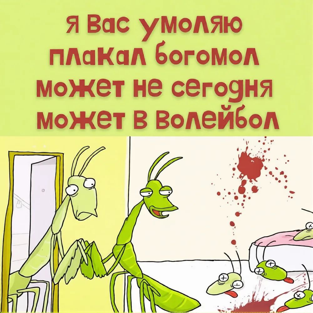 Я Вас умоляю плакал богомол может не сегодня может в Волейбол