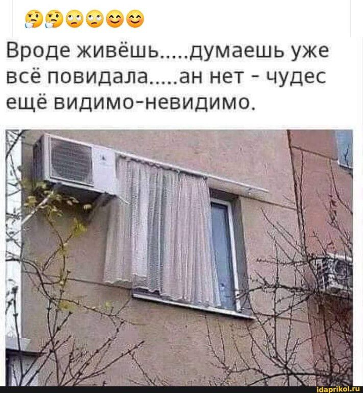 Вроде живёшь.....думаешь уже всё повидала.....ан нет - чудес ещё видимо-невидимо.
