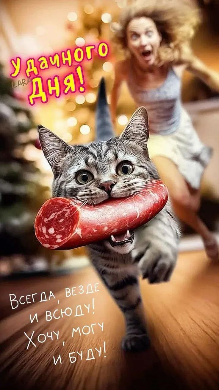 Удачного дня! Всегда, везде и всюду! Хочу, могу и буду!