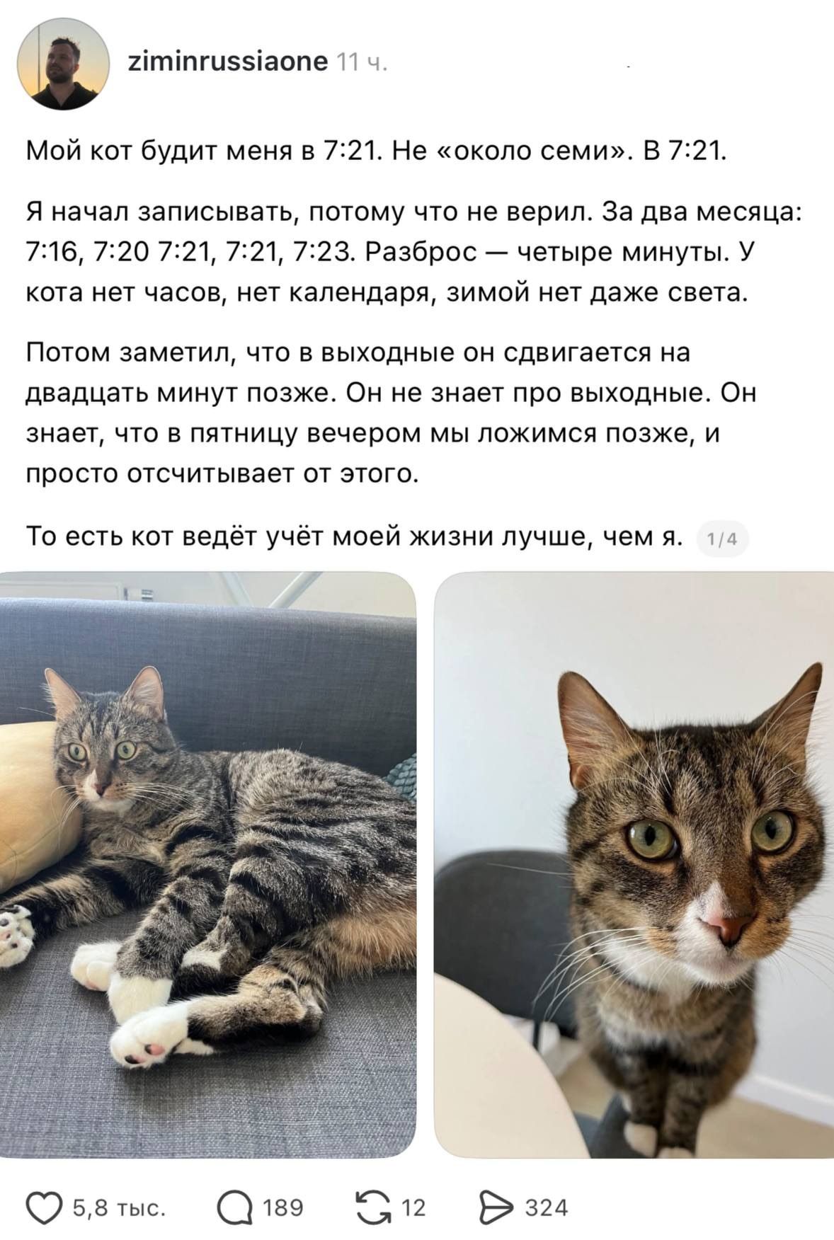 ziminrussiaoпe 11 ч. Мой кот будит меня в 7:21. Не «около семи». В 7:21. Я начал записывать, потому что не верил. За два месяца: 7:16, 7:20 7:21, 7:21, 7:23. Разброс — четыре минуты. У кота нет часов, нет календаря, зимой нет даже света. Потом заметил, что в выходные он сдвигается на двадцать минут позже. Он не знает про выходные. Он знает, что в