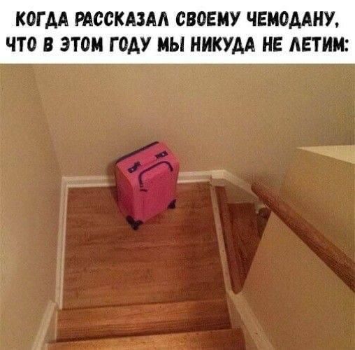КОГДА РАССКАЗАЛ СВОЕМУ ЧЕМОДАНУ, ЧТО В ЭТОМ ГОДУ МЫ НИКУДА НЕ ЛЕТИМ: