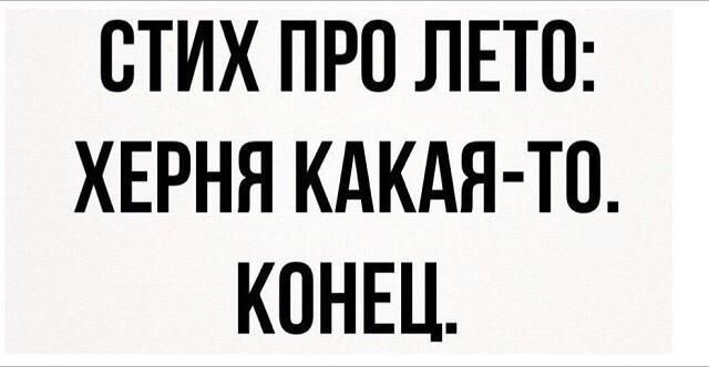 СТИХ ПРО ЛЕТО: ХЕРНЯ КАКАЯ-ТО. КОНЕЦ.