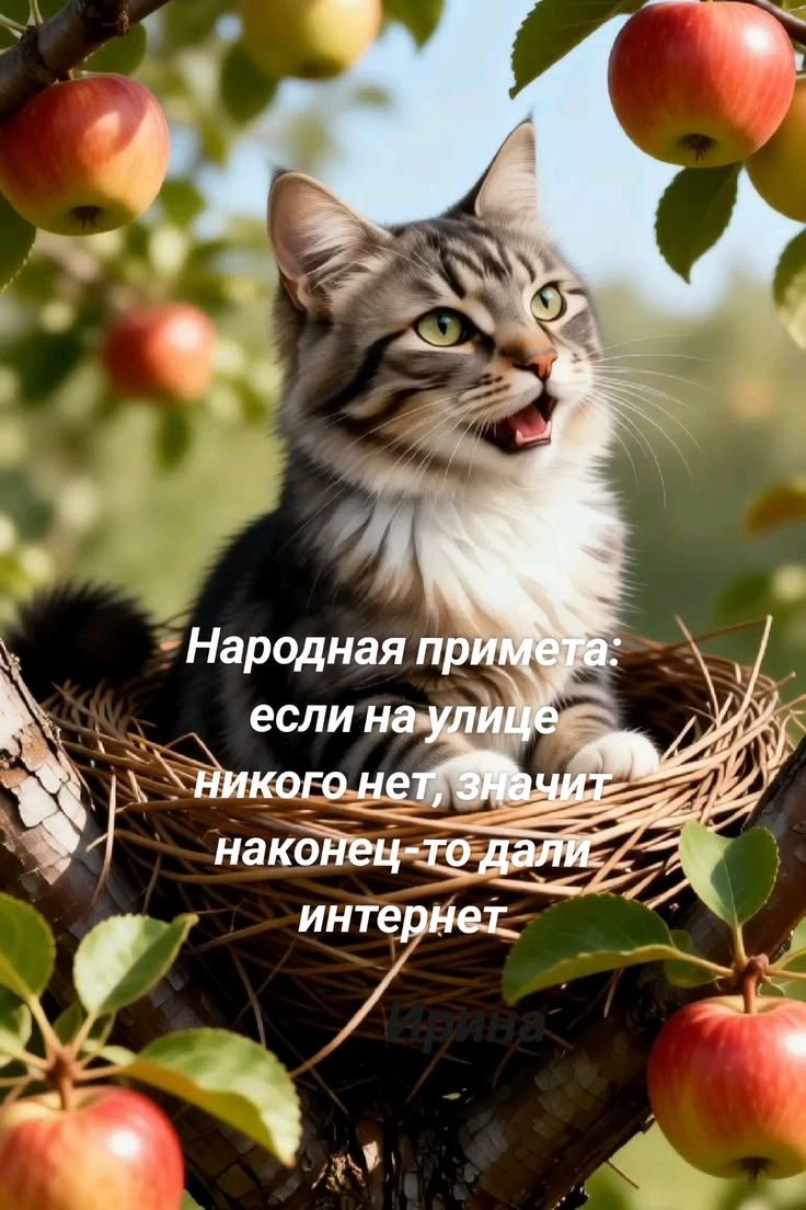 Народная примета: если на улице никого нет, значит наконец-то дали интернет