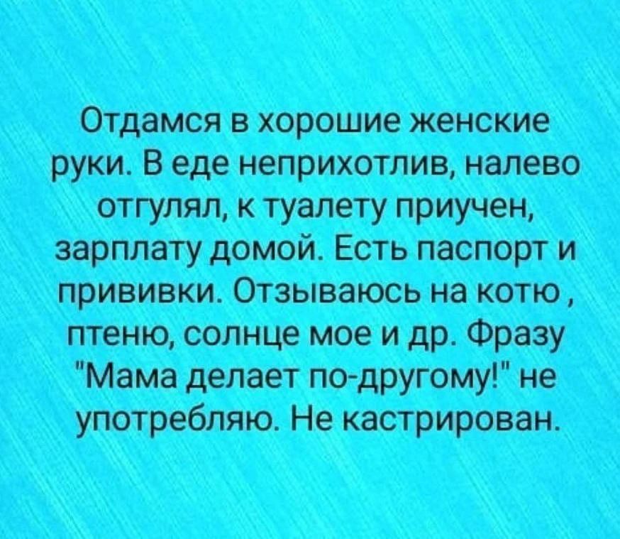 Отдамся в хорошие женские руки. В еде неприхотлив, налево отгулял, к туалету приучен, зарплату домой. Есть паспорт и прививки. Отзываюсь на котю, птеню, солнце мое и др. Фразу 