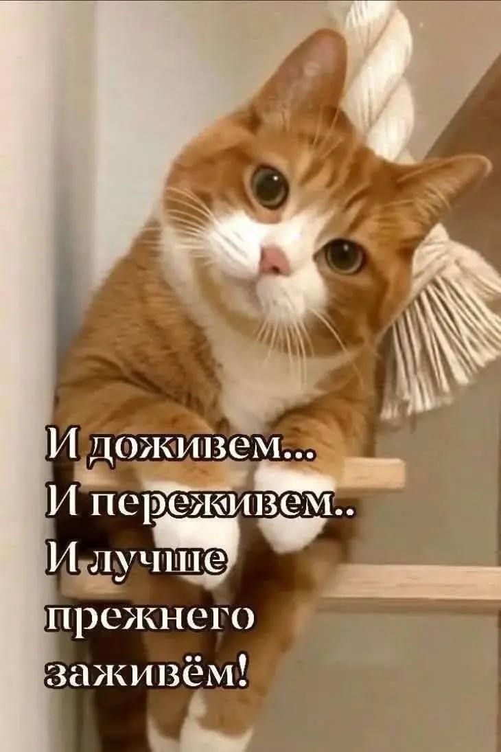И доживем... И переживем.. И лучше прежнего заживём!