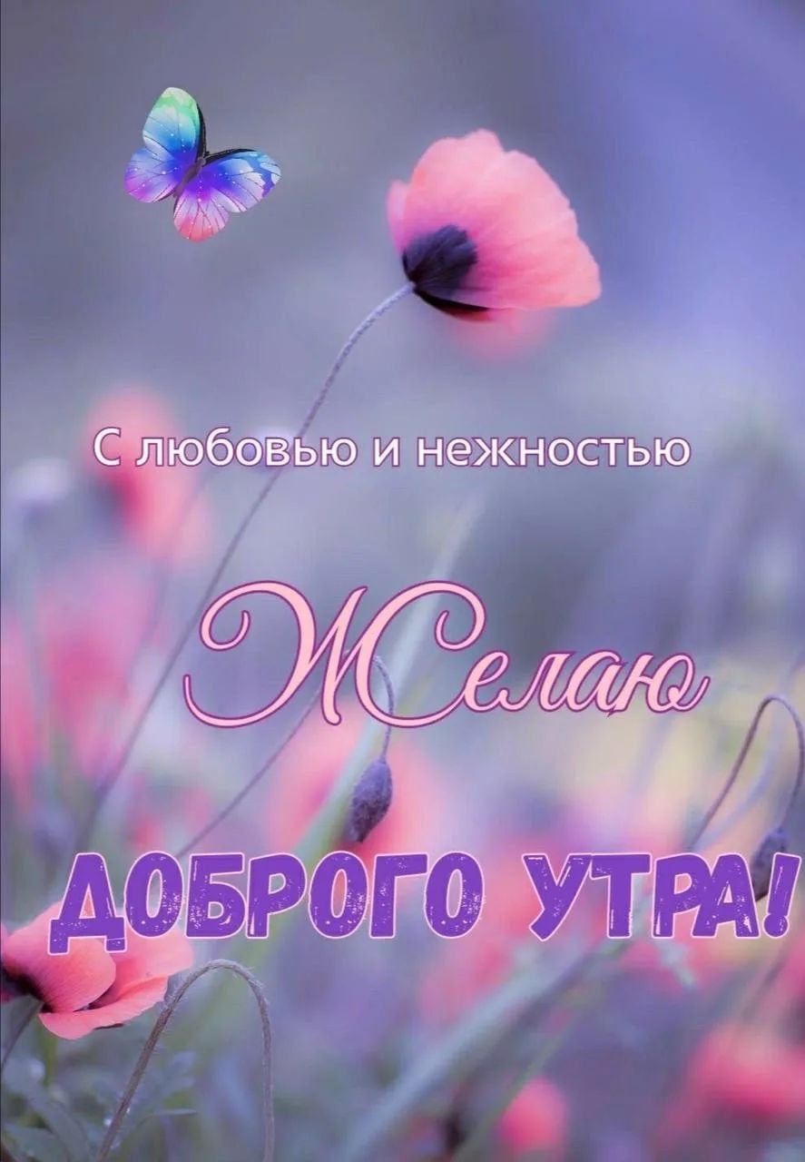 С любовью и нежностью Желаю ДОБРОГО УТРА!