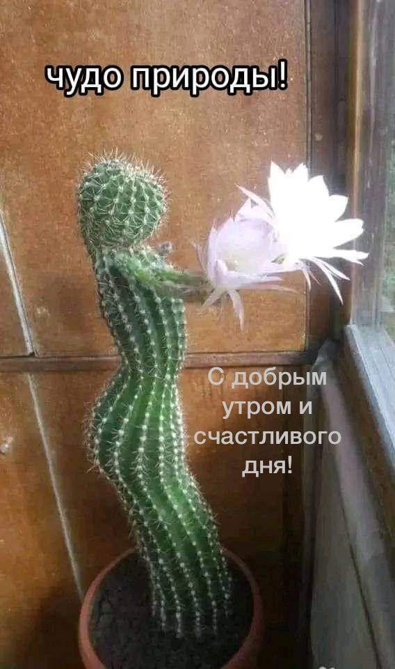чудо природы! С добрым утром и счастливого дня!