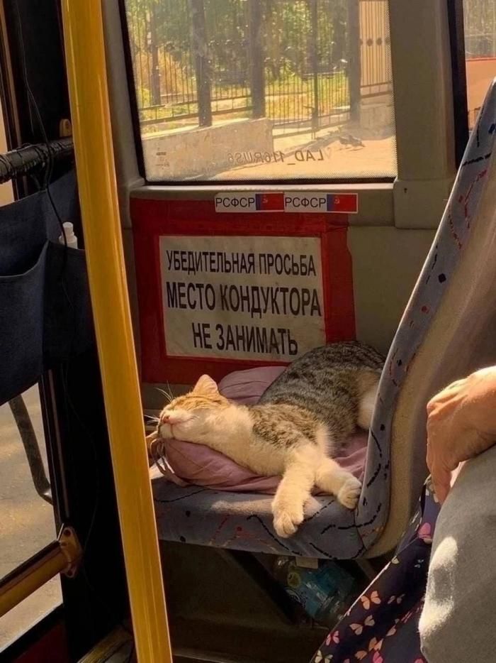 РСФСР РСФСР УБЕДИТЕЛЬНАЯ ПРОСЬБА МЕСТО КОНДУКТОРА НЕ ЗАНИМАТЬ