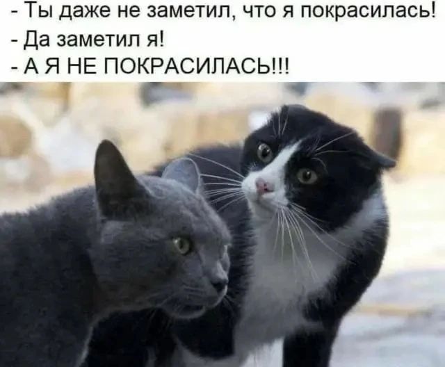 - Ты даже не заметил, что я покрасилась!
- Да заметил я!
- А Я НЕ ПОКРАСИЛАСЬ!!!