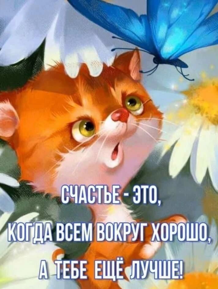 СЧАСТЬЕ - ЭТО, КОГДА ВСЕМ ВОКРУГ ХОРОШО, А ТЕБЕ ЕЩЁ ЛУЧШЕ!