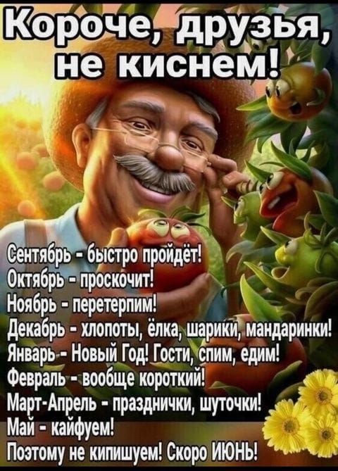 Короче, друзья, не киснем! Сентябрь - быстро пройдёт! Октябрь - проскочит! Ноябрь - перетерпим! Декабрь - хлопоты, ёлка, шарики, мандаринки! Январь - Новый Год! Гости, спим, едим! Февраль - вообще короткий! Март-Апрель - празднички, шуточки! Май - кайфуем! Поэтому не кипишуем! Скоро ИЮНЬ!
