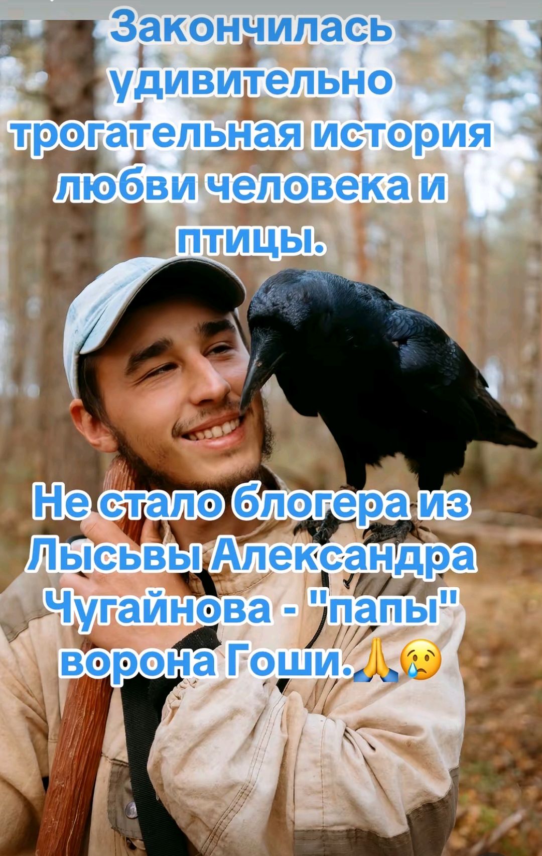 Закончилась удивительно трогательная история любви человека и птицы. Не стало блогера из Лысьвы Александра Чугайнова - 