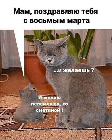 Мам, поздравляю тебя с восьмым марта ...и желаешь? И желаю пелемешек, со сметаной!