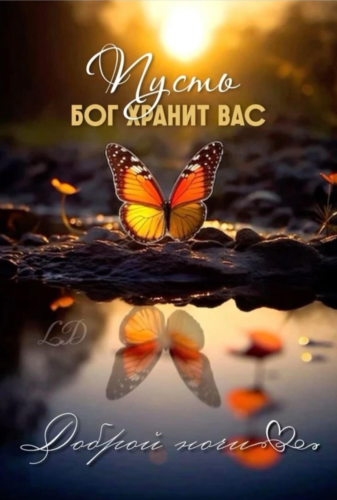 Пусть БОГ ХРАНИТ ВАС Доброй ночи
