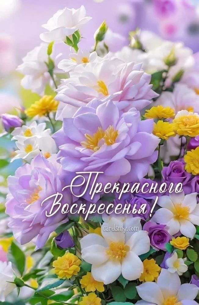 Прекрасного Воскресенья!