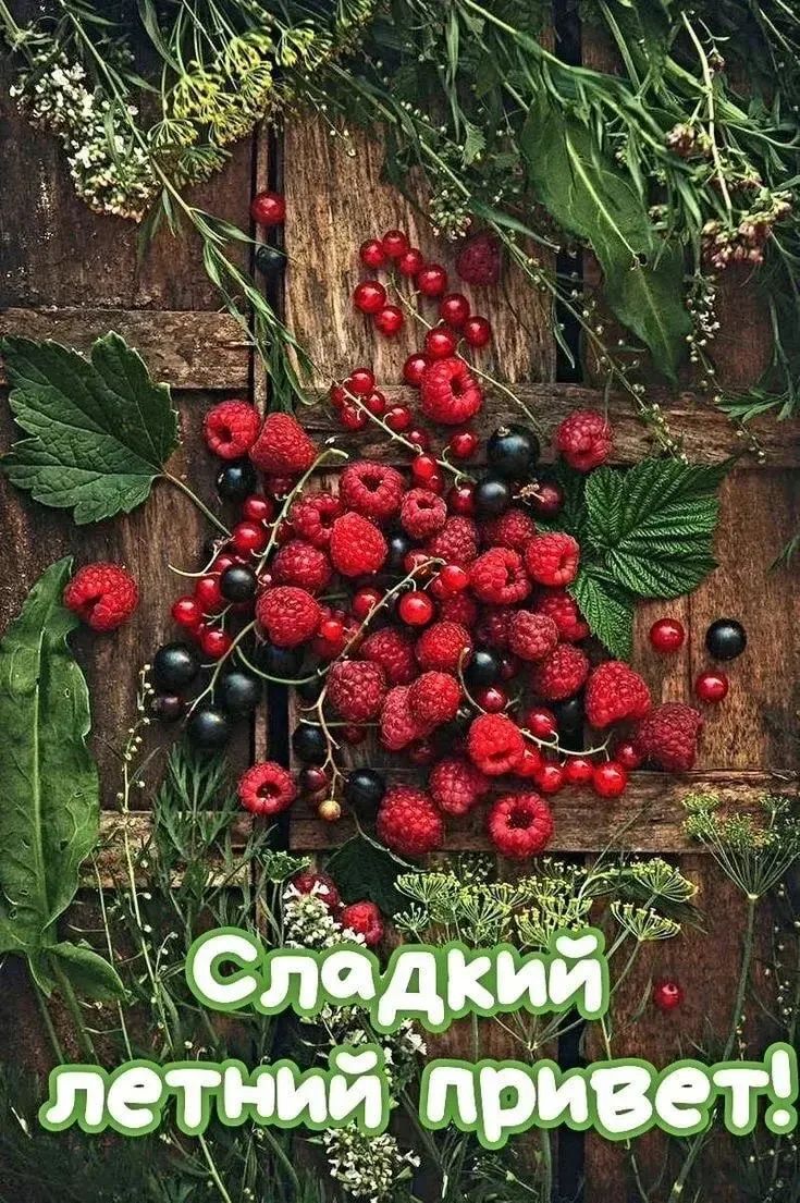 Сладкий летний привет!